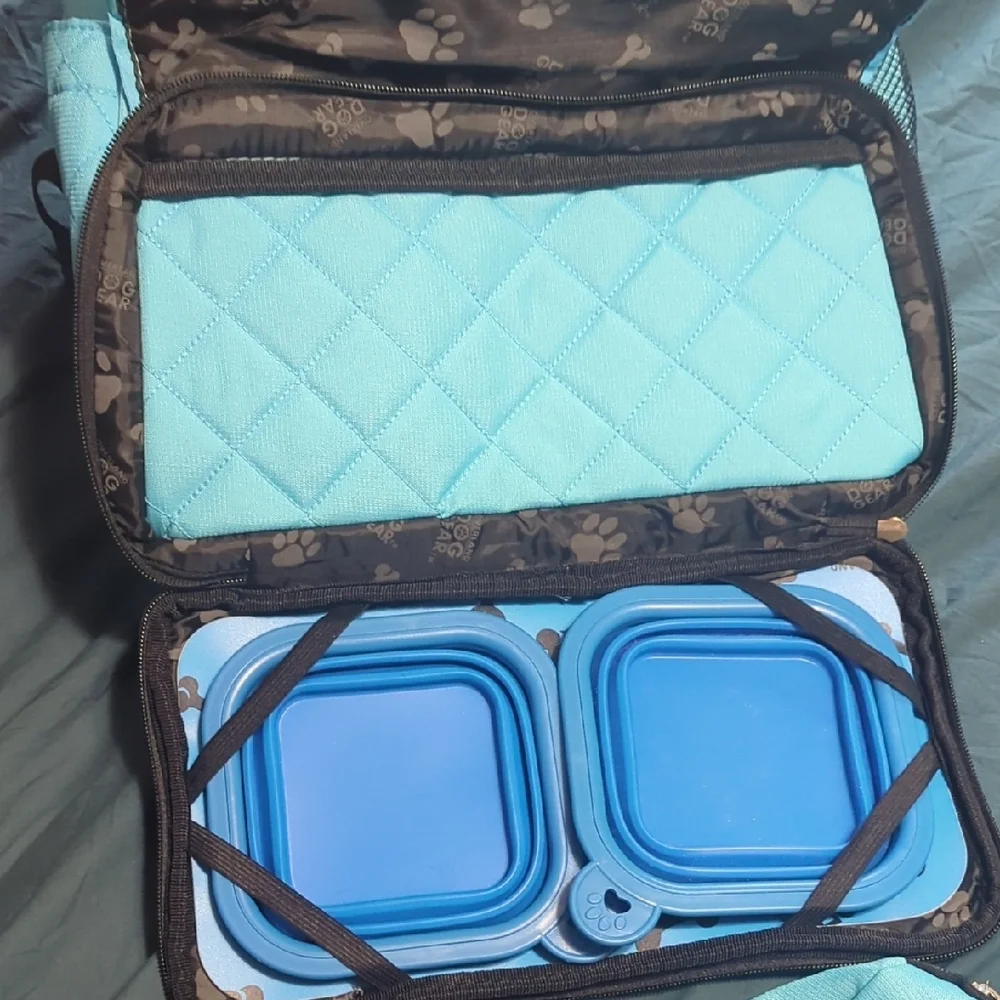 Aqua Quilted Backpack